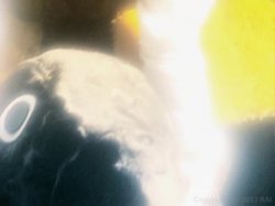 'Art School Sluts' screenshot nº 24