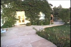 'Transsexual Prostitutes 8' screenshot nº 5