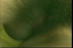 Captura de 'Pretty Little Asians 20' nº 76