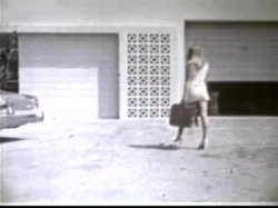 'Tit Queens 9' screenshot nº 4