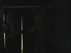 Captura de 'Phoenix Porn Party' nº 2