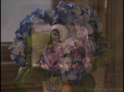 'Uninhibited' screenshot nº 28