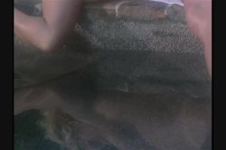 Captura de 'Thighs Wide Open' nº 119