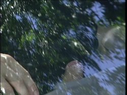 'Puritan Video Magazine 39: Public Display' screenshot nº 108