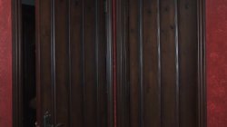 Captura de 'Seduced By A Cougar Vol. 51' nº 1