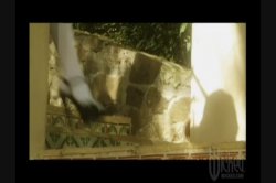 'Hall Pass Hotties' screenshot nº 18