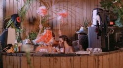 'Peekarama: Ladies Night/ Wicked Ways' screenshot nº 71