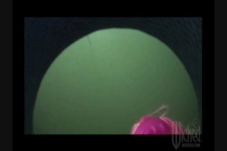 Spacenuts
