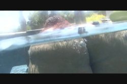 'Heavy Weights' screenshot nº 39