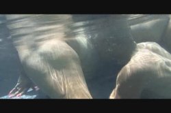 'Heavy Weights' screenshot nº 41