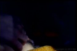 Captura de 'Inside Seka' nº 113