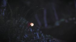 'Transfixed Seven' screenshot nº 2