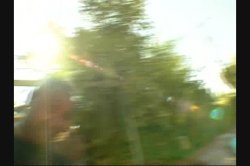 'Big Phat Apple Bottom Bootys 5' screenshot nº 28