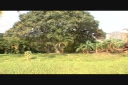 'Big Bubble Butt Brazilian Orgy 6' screenshot nº 128