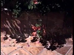 Captura de 'Sex Acts' nº 61