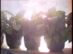 Captura de 'Sex Acts' nº 84
