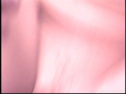 'Dirty Debutantes #296' screenshot nº 75