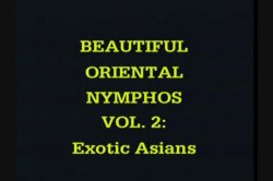 'Beautiful Oriental Nymphos Vol. 2' screenshot nº 1