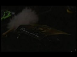 Captura de 'Foot Beauties Vol. 2' nº 45