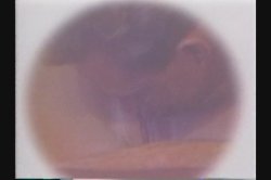 'Falcon Head' screenshot nº 124