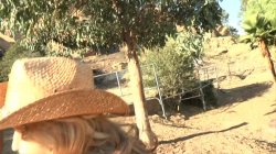 'Big Butt Girls Club 7' screenshot nº 116