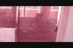 Captura de 'Unlawful Rear Entry' nº 88