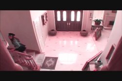 Captura de 'Unlawful Rear Entry' nº 108