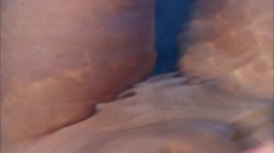 'Double D Vixens' screenshot nº 3