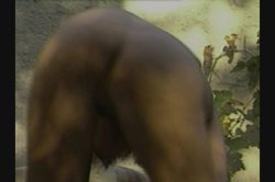 'Beat Goes On, The' screenshot nº 137