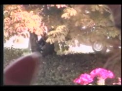 'Sodomania Vol. 3' screenshot nº 58