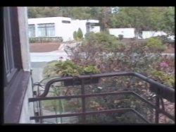 'Sodomania Vol. 3' screenshot nº 59