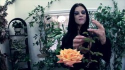 Captura de 'Addams Family: An Exquisite Films Parody' nº 24