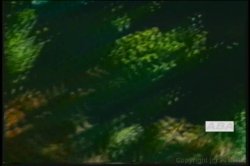'Candy Samples Triple Feature 3' screenshot nº 137