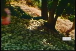 'Candy Samples Triple Feature 3' screenshot nº 138