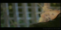 Captura de 'Young Cassidey' nº 75