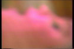 Captura de 'Wacky World of X-rated Bloopers' nº 9
