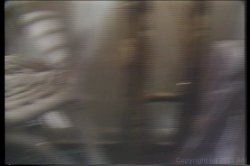 Captura de 'Wacky World of X-rated Bloopers' nº 125