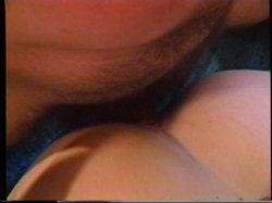 Captura de 'Porn Star Legends: Stephanie Duvalle' nº 78