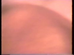'New Experiences' screenshot nº 130