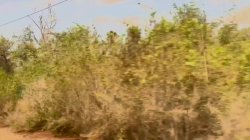 'Libertine Vacations Vol.2' screenshot nº 70