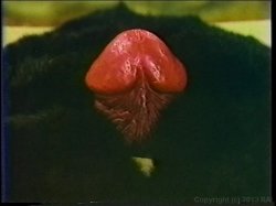 'Seka Triple Feature 3' screenshot nº 36
