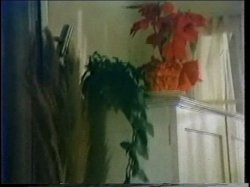 'Seka Triple Feature 3' screenshot nº 8