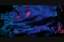 Captura de 'Dumb Blonde' nº 7