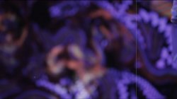 Captura de 'Seduction Diaries Of A Femme' nº 42