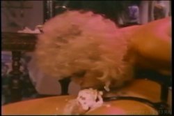 Captura de 'Lisa Deleeuw Triple Feature 3' nº 127