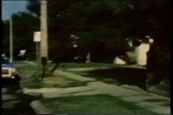 Captura de 'Lisa Deleeuw Triple Feature 3' nº 37