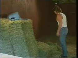 'Squirt Em Cowgirl' screenshot nº 49