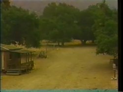 'Squirt Em Cowgirl' screenshot nº 10