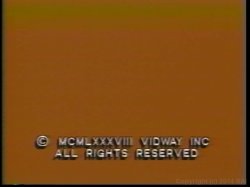 Captura de 'Porsche Lynn Triple Feature' nº 65