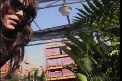 Captura de 'Til Sex Do Us Part' nº 31